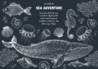 Wall Mural - Sea animals hand drawn collection. Sketch illustration. Blue whale, sea horse, jellyfish, fish, seaweed, seashells illustration. Vintage design template. Undersea world.