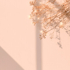 Wall Mural - beige sparkle dried flower background image