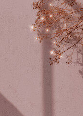 Wall Mural - dried flower window shadow floral background