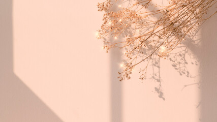 Wall Mural - dried flower window shadow floral image background