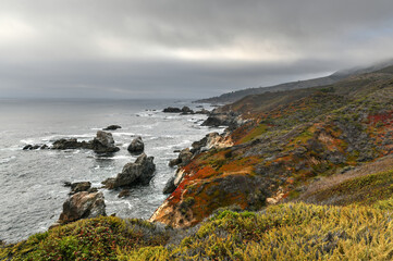 Poster - Garrapata State Park - California