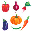 © ogurechka - Hand painted acrylic or gouache vegetables elements set