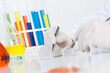 © adam121 - Researching sample with tweezers in petri dish