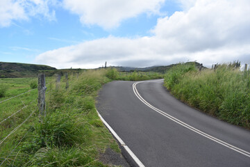 Wall Mural - Roadway through a green hilly ranch along the Road to Hana on the island of Maui, Hawaii