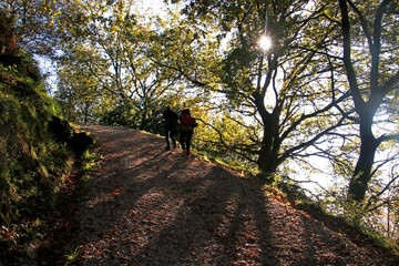 Poster - Urban park in the last autumn days