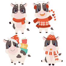 The Collection Of Cute Cow With Christmas Costume In Flat Vector Style. Graphic Resource About Christmas And Holiday For Background, Graphic,content , Banner, Sticker Label And Greeting Card.