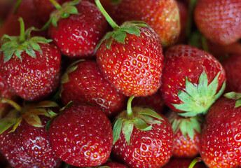 Wall Mural - Background from freshly harvested strawberries. Top view