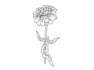 Flowers Line Art Arrangements. Line art flower on greeting card, frame, shopping bags, wall art, telephone boxes and t-shirts.
