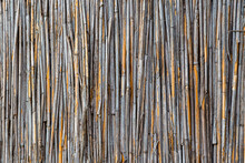 Yellow Gray Bamboo Background. Fence From Tied Reed. A Wooden Tied Wall With Vertical Reeds. Reed Straw Abstract Background. Old Reed Fence Texture.