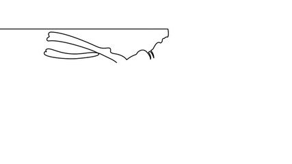 Wall Mural - Self drawing simple animation of single continuous one line drawing diver, water, scuba, underwater, sea, sport, ocean . Drawing by hand, black lines on a white background.