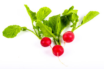 Fresh red radish isolated on white background.