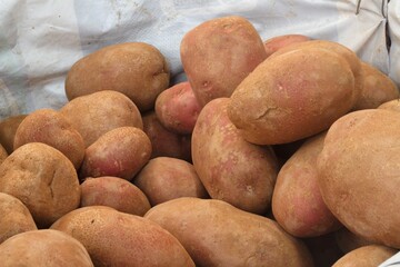 Wall Mural - organic potatoes