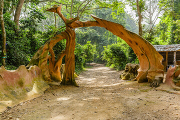 osun-osogbo sacred grove in nigeria. a sacred forest along the banks of the osun river just outside 