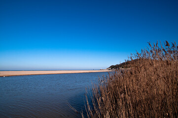 Wall Mural - The sea visible through the reeds by the lake.