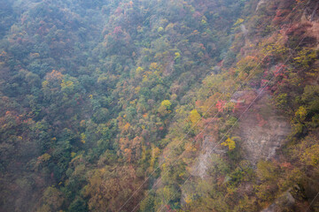 Wall Mural - Amazing autumn landscape at Wudang Mountain.