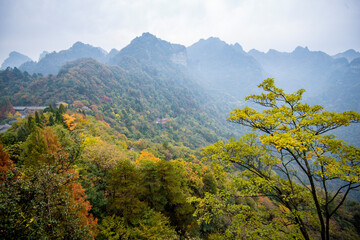 Wall Mural - Amazing autumn landscape at Wudang Mountain.