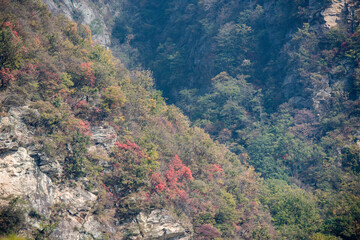 Wall Mural - Amazing autumn landscape at Wudang Mountain.