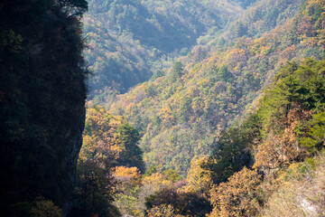 Wall Mural - Amazing autumn landscape at Wudang Mountain.