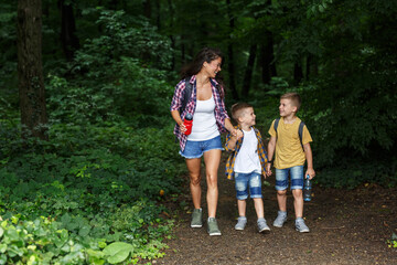 Wall Mural - mother and her little sons hiking trough forest .outdoor spring leisure concept.