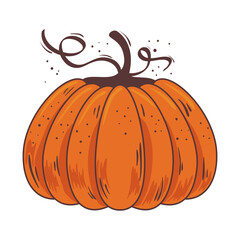 Sticker - autumn pumpkin fruit seasonal isolated icon vector illustration design