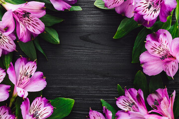 Wall Mural - Frame of Peruvian Lillies on Black Background