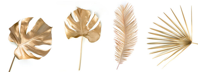 Set of golden palm leaves on white.