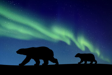 Sticker - polar bears walking at night. animal silhouette. green aurora borealis