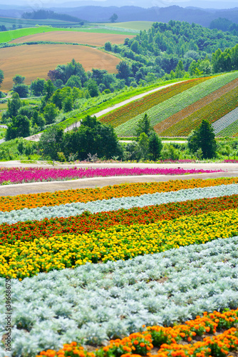 花畑 アドビストックのデザイン かべいろ Com おしゃれ壁紙リフォーム貼り替え インクジェット壁紙のかべいろ Com