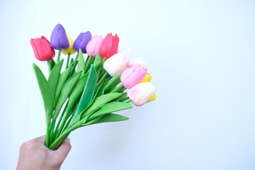 Poster - bouquet of tulips in a hand