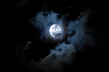 Wall Mural - luna