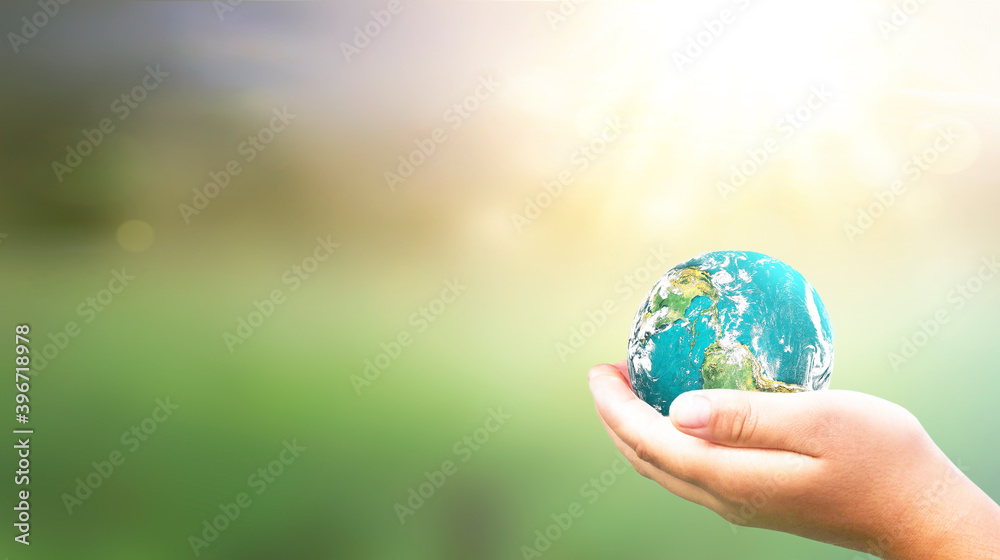 Foto de Stock Hands Holding earth global In Lush Green Environment With ...