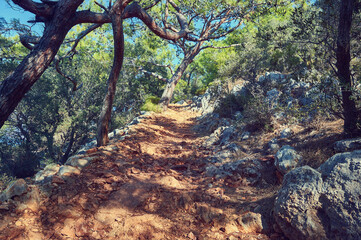 Walking in Lycian Way