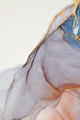  Alcohol ink art.Mixing liquid paints. Modern, abstract colorful background, wallpaper. Marble texture.Translucent colors