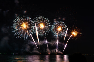 Wall Mural - Colorful of fireworks In the sea display on sky background