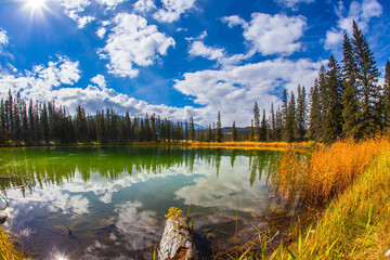 Poster - Jasper Park in Indian summer