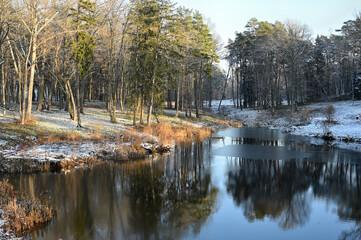 Wall Mural - Rural pond with reflections of trees