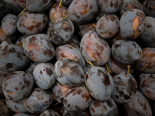 Dark ripe plum background