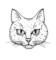 Naklejka na meble Cat face sketch, vector illustration. Hand drawn. Cat angry portrait. Vector illustration.