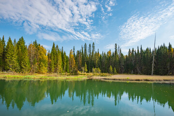 Wall Mural - autumn forest trees are reflected in the river water of the panoramic landscape. blue sky with cloud