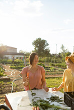 Girl Holding Carrot In Community Garden