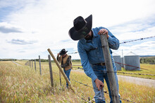 Male Ranchers In Cowboy Hats Fixing Barbed Wire Fence On Sunny Ranch