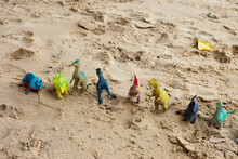 Many Plastic Dinosaurs At The Beach