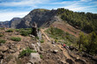 woman running in the mountains on the trail on canary island la palma