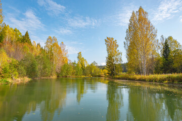 Wall Mural - autumn forest trees are reflected in the river water of the panoramic landscape. blue sky with cloud