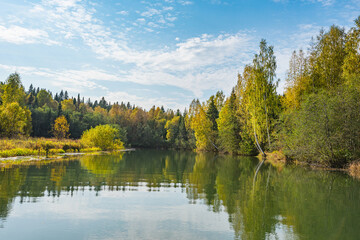 Wall Mural - autumn forest trees are reflected in the river water of the panoramic landscape. blue sky with cloud
