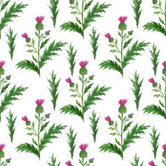 Watercolor seamless pattern with stylized twigs, flowers and leaves of the Thistle plant