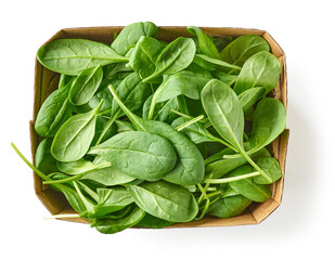 Poster - fresh green spinach leaves