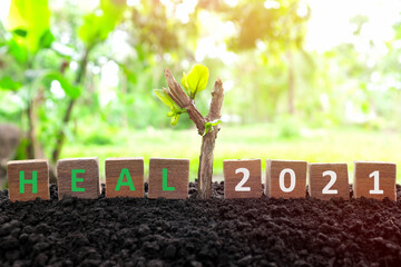 Poster - Year 2021 healing, hope, growth, life renewal, new beginnings and recovery concept. Wooden blocks heal word with growing plant at sunrise on natural background.