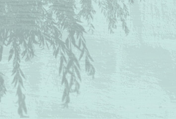 Wall Mural - Natural light casts shadows from an willow branch on the blue-greeen wall background. Shadow overlay effect