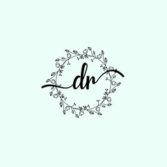 DR Initial handwriting logo template vector
